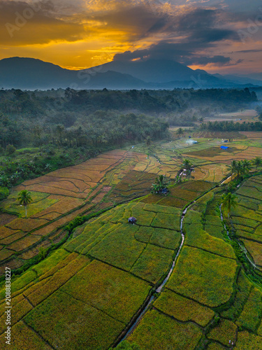 Beautiful panoramic aerial view of terraced rice fields at sunrise in Indonesia, surrounded by lush tropical greenery and palm trees