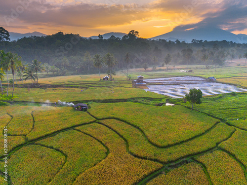 Beautiful panoramic aerial view of terraced rice fields at sunrise in Indonesia, surrounded by lush tropical greenery and palm trees