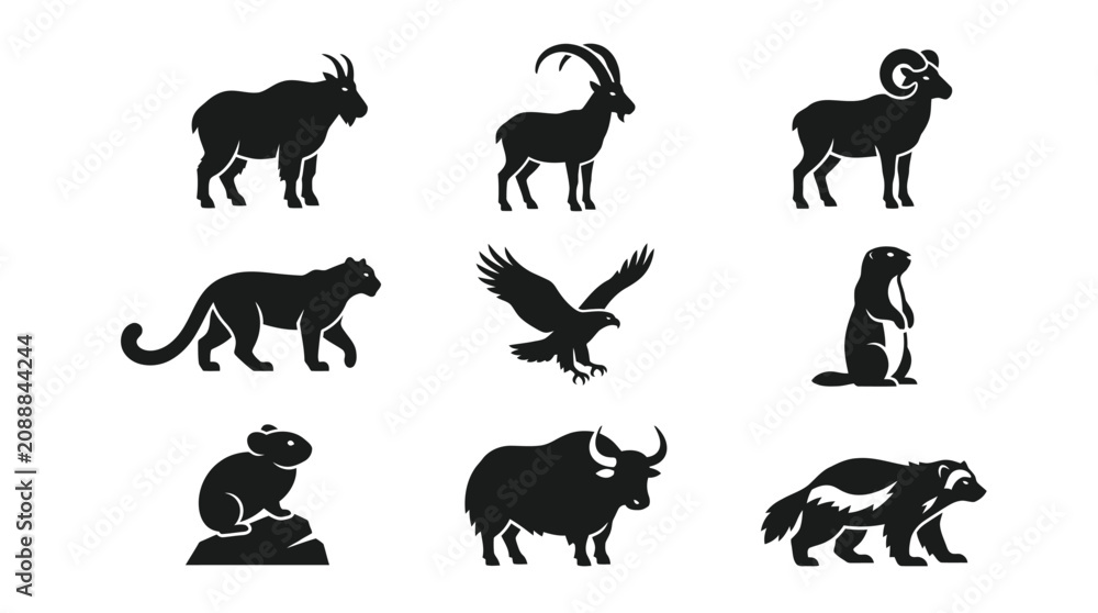 Fototapeta premium Silhouettes of various wild animals.