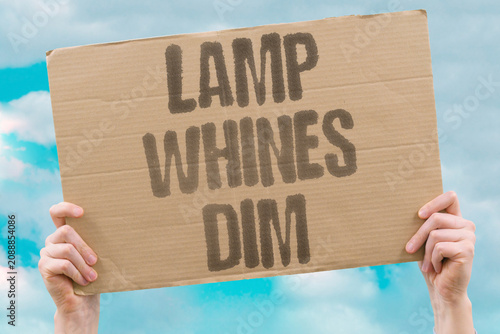 Obraz na płótnie "Lamp whines dim" Light makes noise and flickers