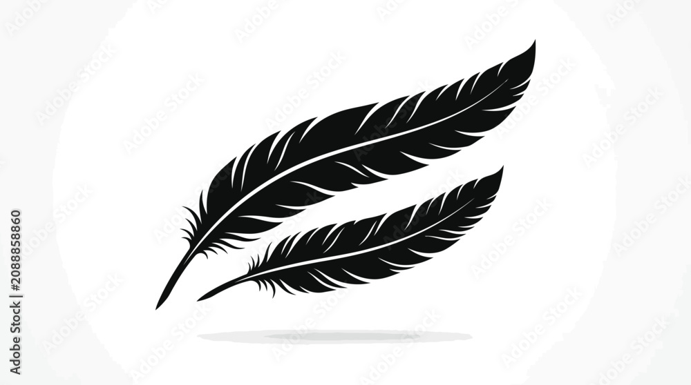 Fototapeta premium Two black feather silhouettes isolated on white background.
