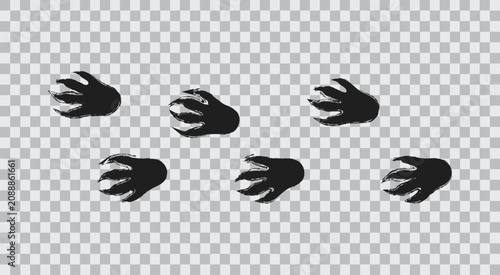 Crocodile Paw Print Track Vector Isolated on Transparent Background , Reptile Footprint Silhouette Illustration.eps