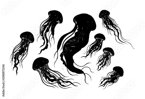 Black jellyfish silhouettes, ocean creatures, sea animals, vector icons, marine life