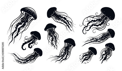 Black jellyfish illustrations, jellyfish vector set, marine animal icons, ocean creatures