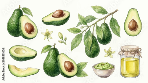 Bild auf Leinwand Avocado fruit and leaves with oil and guacamole on a table indoors