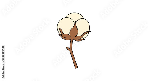 Foto Cotton boll icon for textile and agriculture