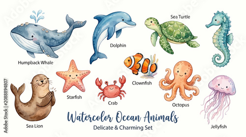 Photography Delicate ocean animals swim in a charming watercolor scene with dolphin sea turt