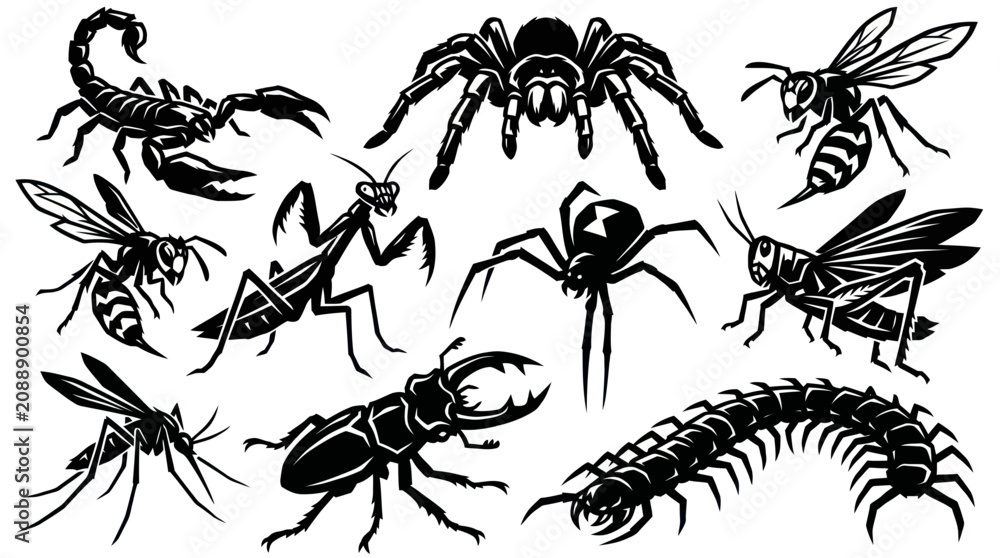 Fototapeta premium Dangerous Insects and Arachnids Silhouette Vector Set