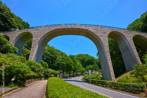 初夏の神奈川県厚木市七沢の森のかけはしを南側から見上げる