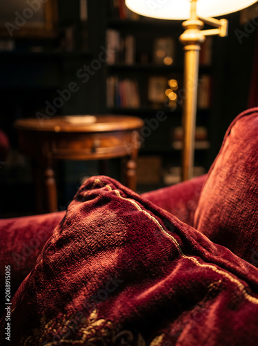 Red Velvet Sofa Pillow Closeup.