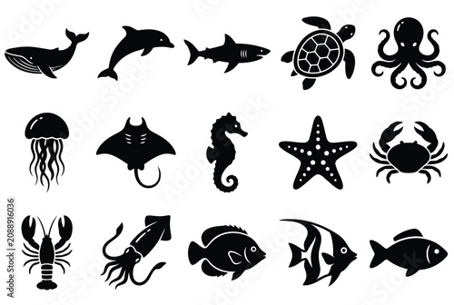 Photography Set of sea animals icons, marine life collection