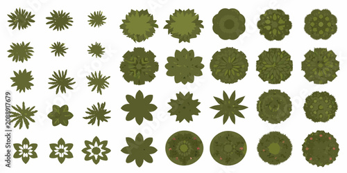 Foto Tree canopy arrangements vector illustration on a white background