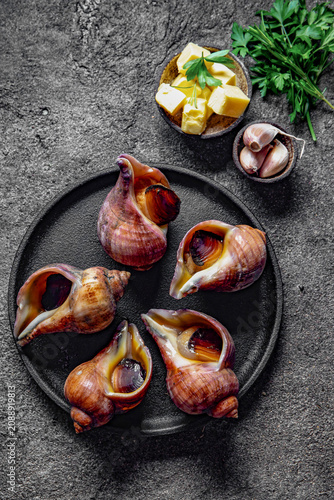 Canvastavla Raw giant Chilean sea snails (escargot) in their natural spiral shells arranged