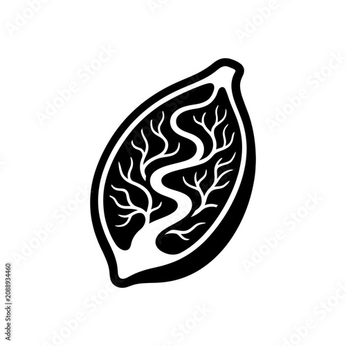 Stylized illustration of a seed with branching veins inside.