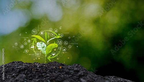 Seedling growing in fertile soil with sustainability, ESG, renewable energy and circular economy icons. Symbolizing eco innovation and sustainable development.