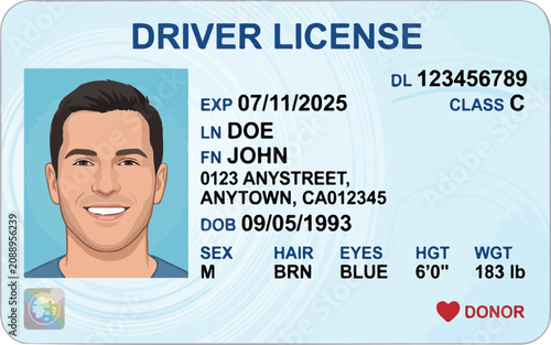 Illustrated driver license template with male portrait and detailed ID information symbolizing identity and documentation concept vector design