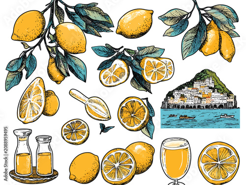 Vibrant Hand Drawn Lemon Collection With Italian Coastal Village Scenery Vector Illustration.