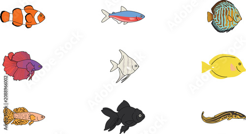 Obraz na plátně Aquarium and Tropical Fish Vector Set with Clownfish Neon Tetra Angelfish Discus
