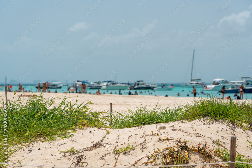 Fototapeta premium Beautiful Caribbean beach Playa Norte or North beach on the Isla Mujeres near Cancun, Mexico