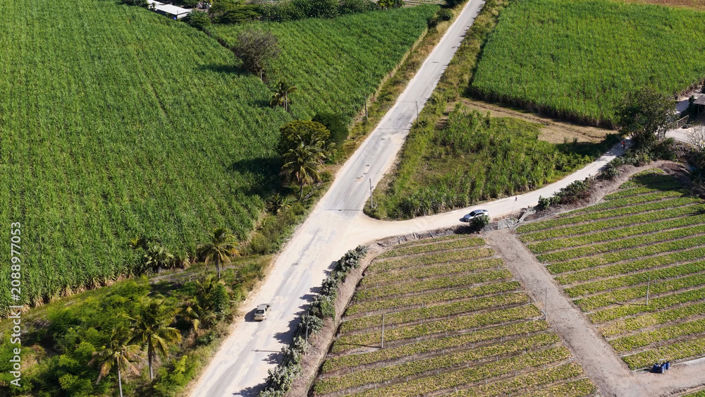 Naklejka premium Aerial View of Rural Road Intersection and Agricultural Fields in Khao Yai