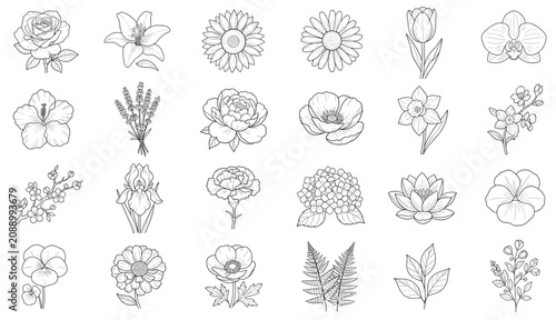 Collection of various botanical floral blossom icons drawing set simple flower outline vector illustration isolated on white.