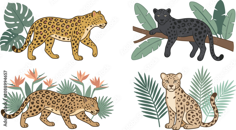 Obraz premium Wild Leopard and Black Panther Vector Illustration Set Featuring Exotic Jungle Tropical Leaves and Flowers for Fabric Wallpaper and Graphic Designs