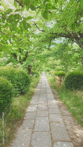 緑の溢れる歩道
