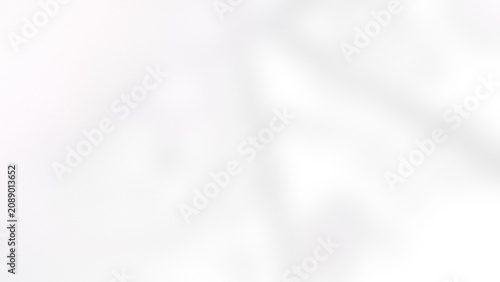 фотографія Abstract soft shadows of leaves on a white wall background isolated on transpare