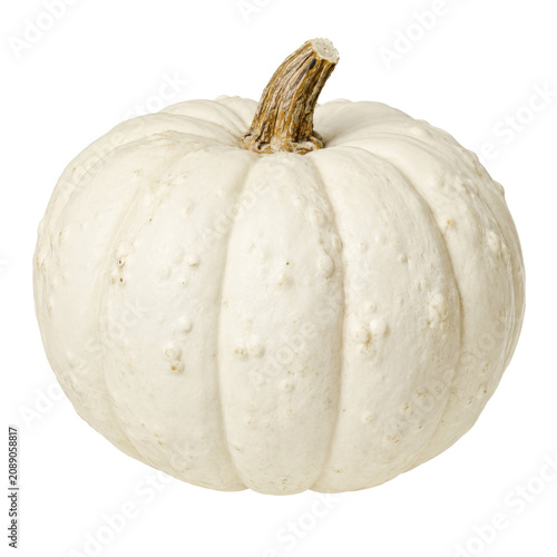 White pumpkin isolated on white, Halloween decor element