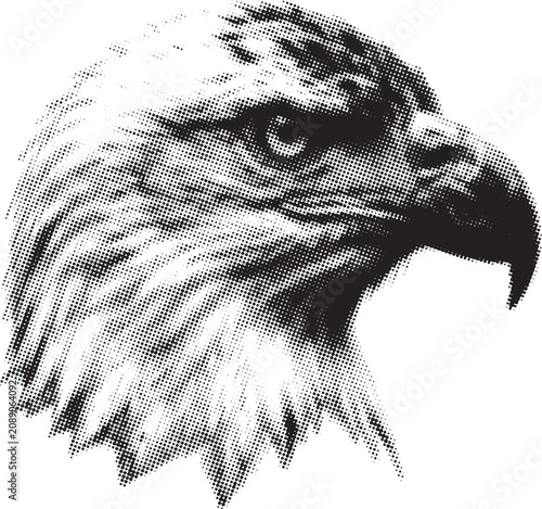 Photography Close-up halftone eagle profile against a crisp white background with subtle det