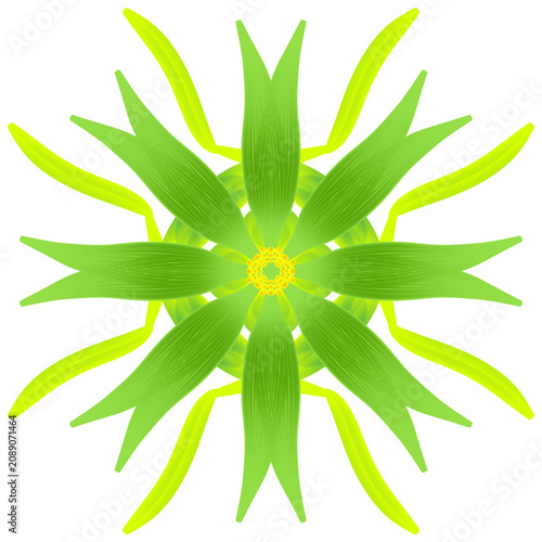 Vibrant green foliage circular mandala graphic, symmetrical flower element design for wellness
