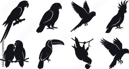 Photos Tropical Parrot and Exotic Bird Silhouette Icon Set with Macaw Cockatoo Toucan a