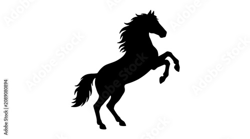 Fotografía Black silhouette of a rearing horse standing on its hind legs, isolated on a white background