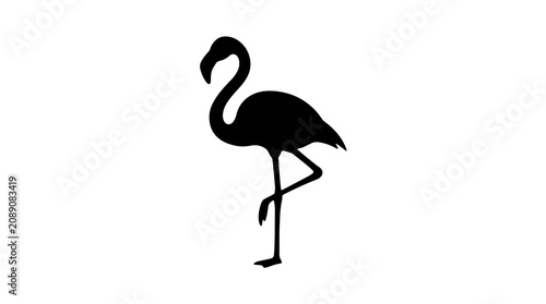 Fényképezés Black flamingo silhouette, minimalist bird icon, simple animal design, elegant w