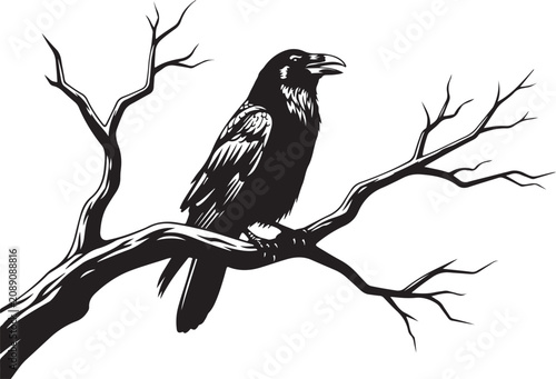 black raven bird sitting on tree branch - halloween theme vector silhouette design