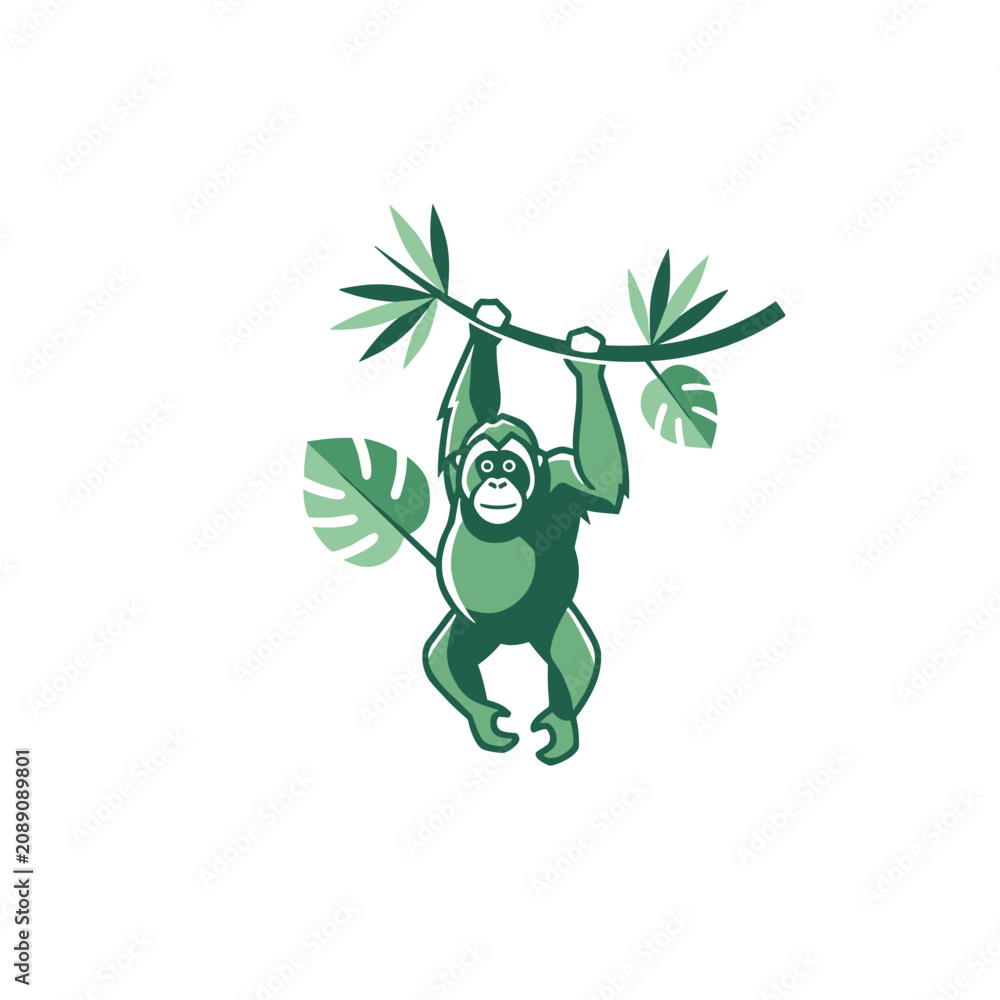 Fototapeta premium Playful green orangutan swinging from a tropical vine amidst large monstera leaves in a clean stylized vector illustration.