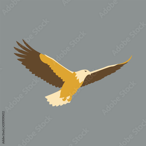 Majestic eagle flying with wings fully spread against a solid gray background, portrayed in a clean minimalist vector design.