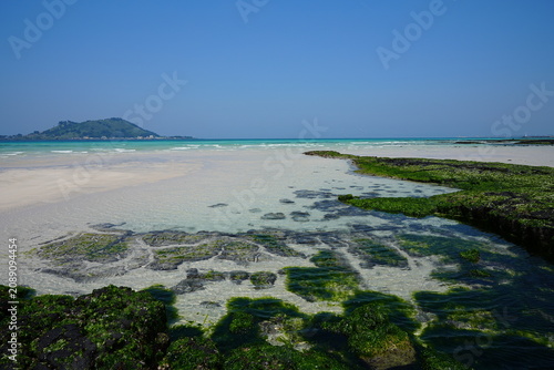 fine view with mossy rocks and far island