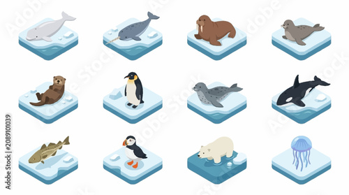 Canvas Print Collection of Arctic Animals on Ice Floes.