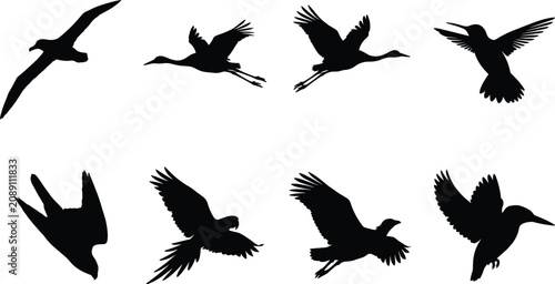 Konstfotografi Flying Bird Silhouettes Collection with Eagle Seagull Crane Duck Kingfisher and