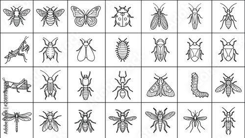 Foto Set of diverse insects and arthropods isolated on white background drawn in simp