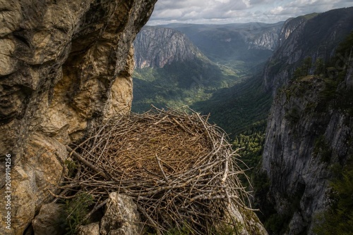 Large eagle's nest of sticks in a cliff crevice overlooking a valley.