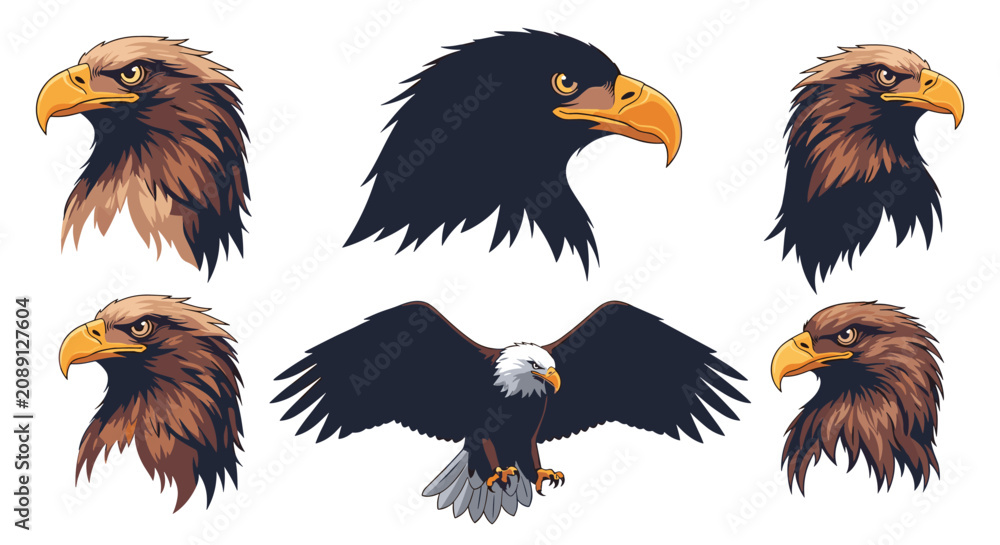 Fototapeta premium Majestic eagle portraits showing the heads of bald and golden eagles plus a full view of an eagle in flight with wings spread.