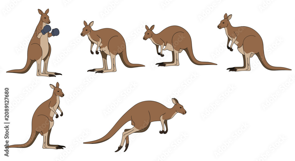 Obraz premium Sequence of kangaroo illustrations showing different behaviors like boxing, standing, hopping, and looking back on a white background.
