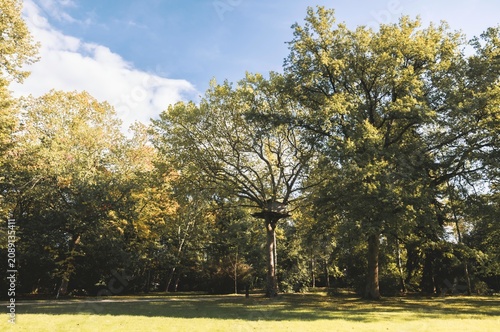Принти на полотні Explore the lush greenery and towering trees that surround the majestic castles