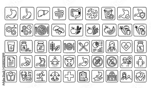Editable Stomach Digestion Diet and Gut Health Linear Icon Collection Vector