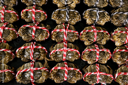 Fresh Yangcheng Lake Hairy Crabs Tied with Rope at Suzhou Market - Traditional Chinese Seafood Delicacy