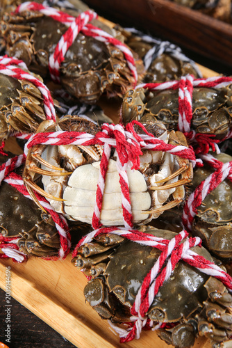Fresh Yangcheng Lake Hairy Crabs Suzhou Market Display Red Rope Tied Chinese Seafood Delicacy