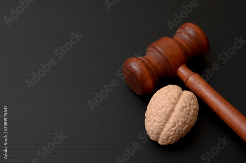 Photography Wooden Judge Gavel next to Human Brain Model on Black Background for Mental Heal