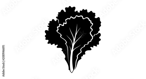Tableau sur toile Black silhouette of fresh leafy green vegetable with visible veins on white back